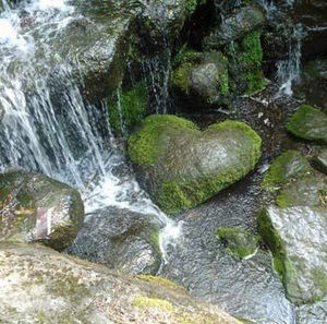 Meet your Posher, Sydney